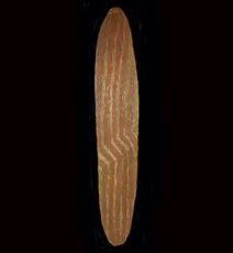 Wunda Shield - Michael Evans Tribal Art